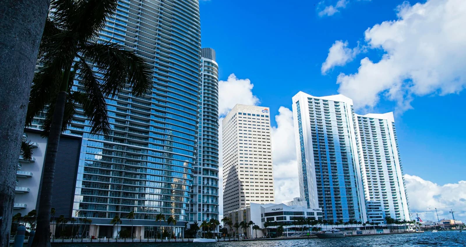 Miami's waterfront skyline and palm trees on a sunny day in Florida, United States
